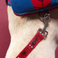 Loungefly Pets Marvel Spider-Man Dog Leash